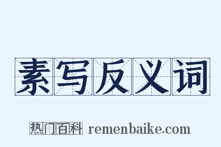 素写反义词是什么意思的图片